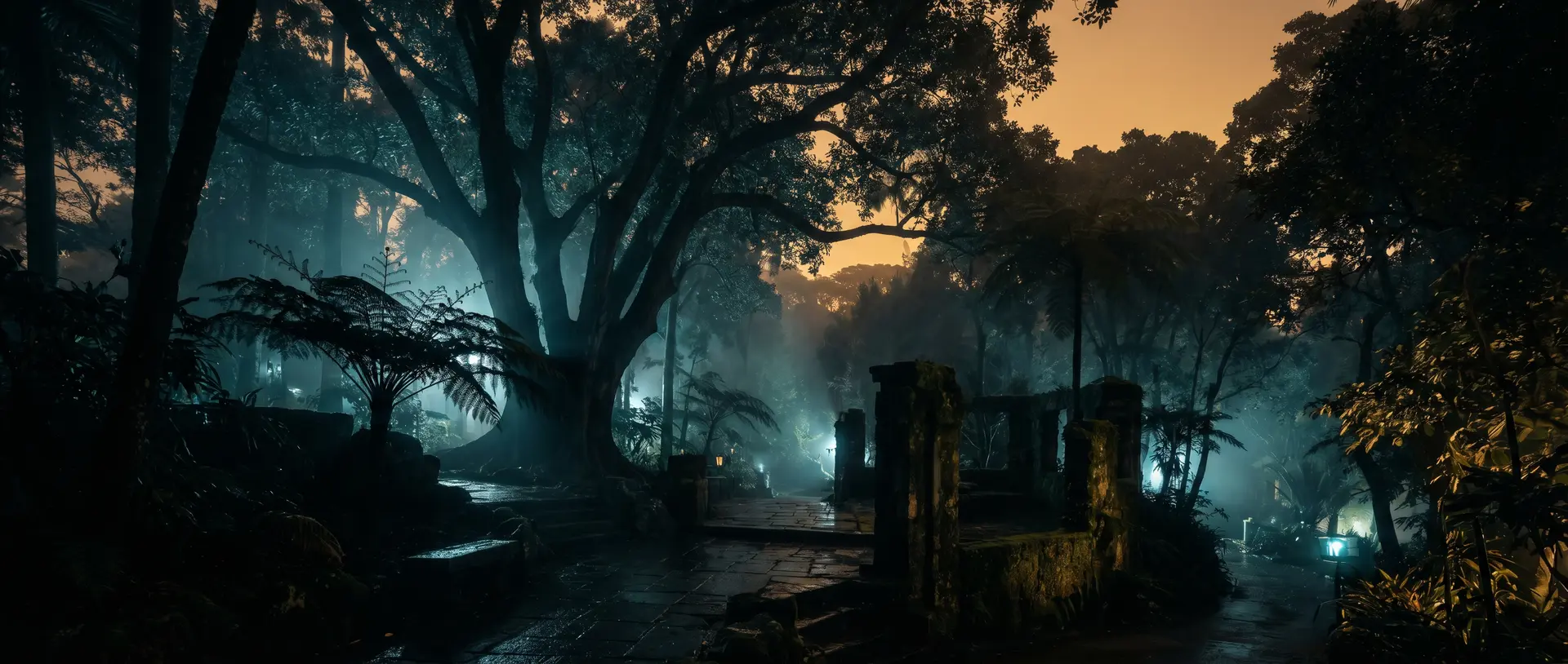 黑料珍稀兰花视频教程